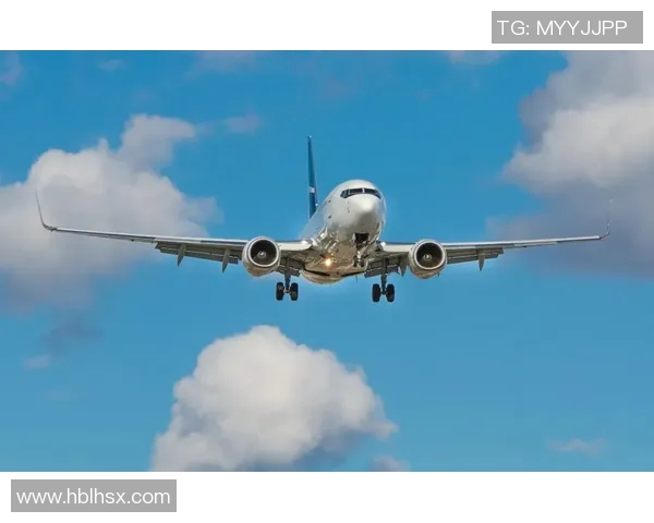 悉尼与纽约喷气机的精彩对决谁能在这场较量中胜出